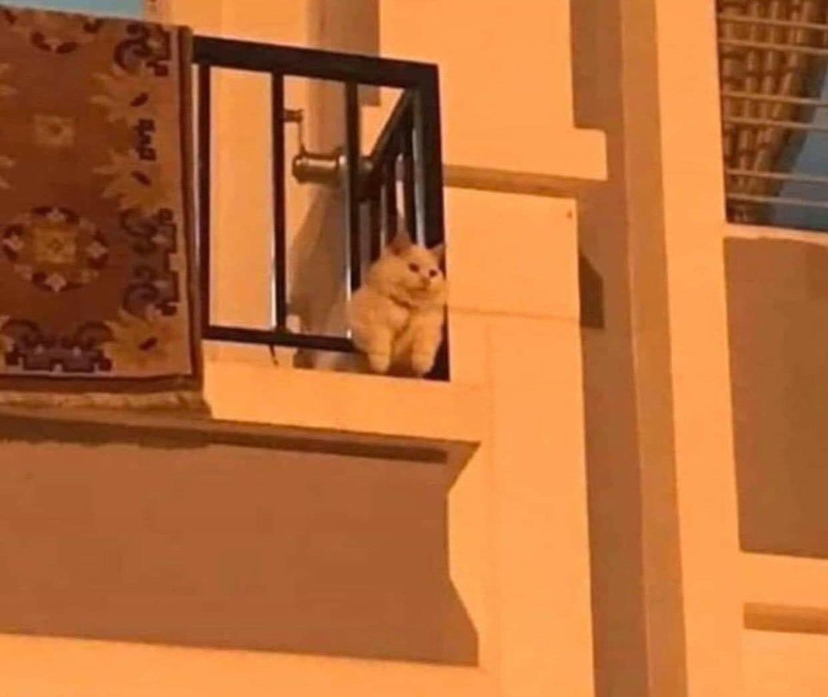 - انتو يا ناس ياللي مسافرين ومعندكمش ريحة الوعي
نعم 
- يا بختكم