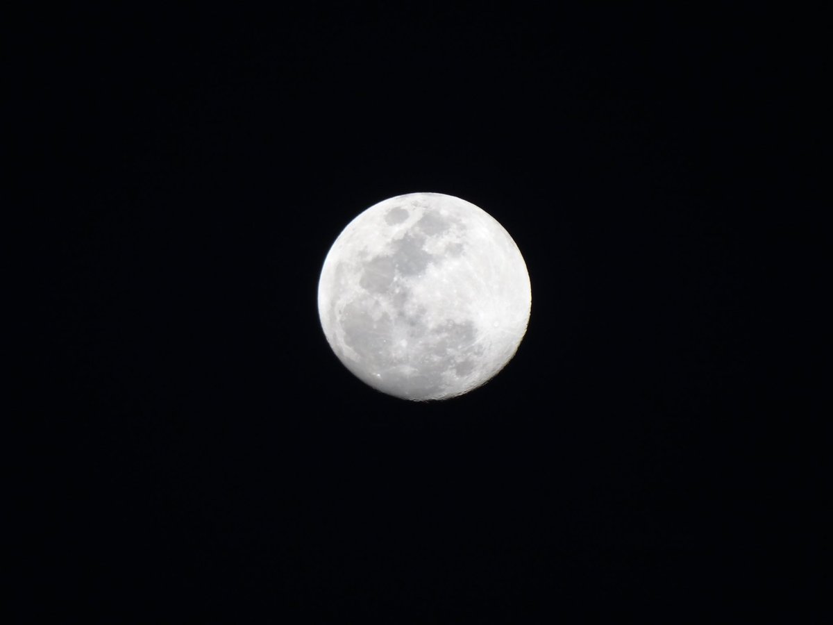 Iripampolha's tweet photo. #OlhemALua 🌕👏🏻👏🏻👏🏻 https://t.co/wKT9mM2oP5