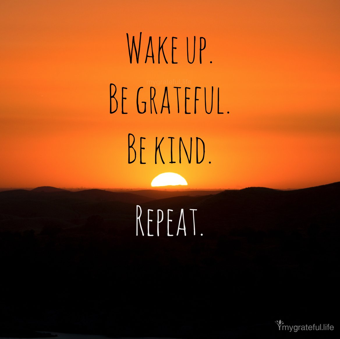 "Wake up. Be grateful. Be kind. Repeat." ~ @mygratefullife
#mindfulness