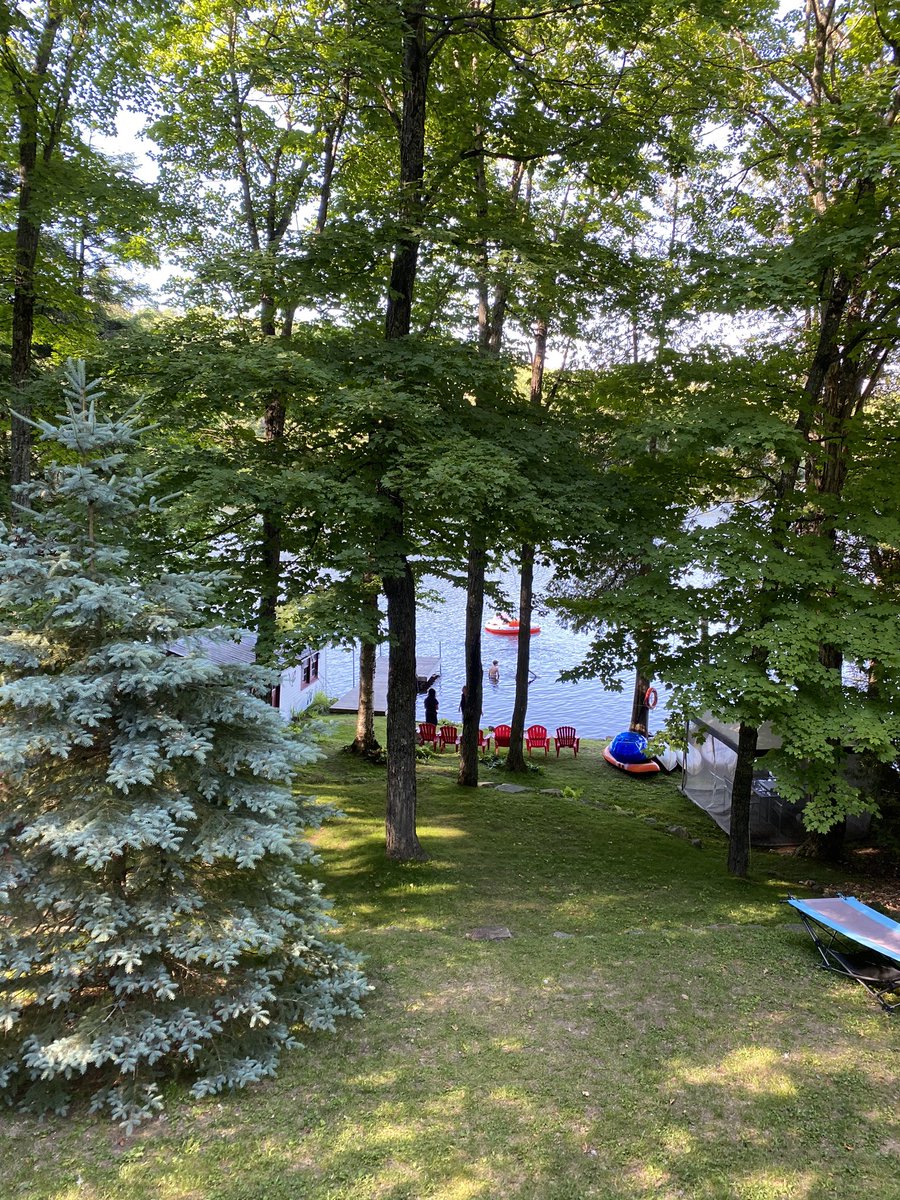 guffer99's tweet photo. #CurrentView #RilLake @BaysvilleOnt #Muskoka https://t.co/7iJjFGvMZA