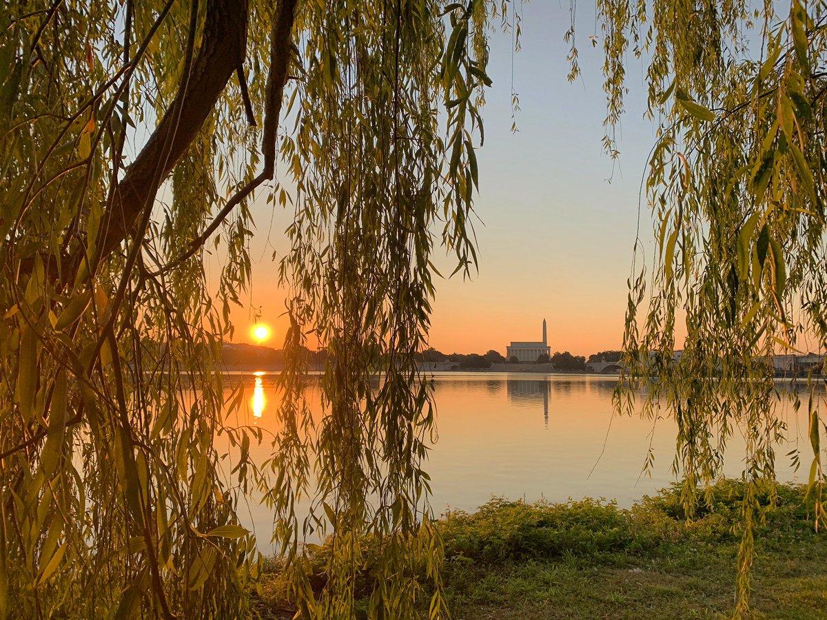 bwheeler_'s tweet photo. Sunrise in D.C. this morning from along the Mt. Vernon trail, July 4, 2020. My new form of socially distant exercise this summer is gonna be sunrise photography. #WashingtonDC #districtofcolumbia #dc #nps #FindYourPark #nationalparks https://t.co/KFdLDxxCO9