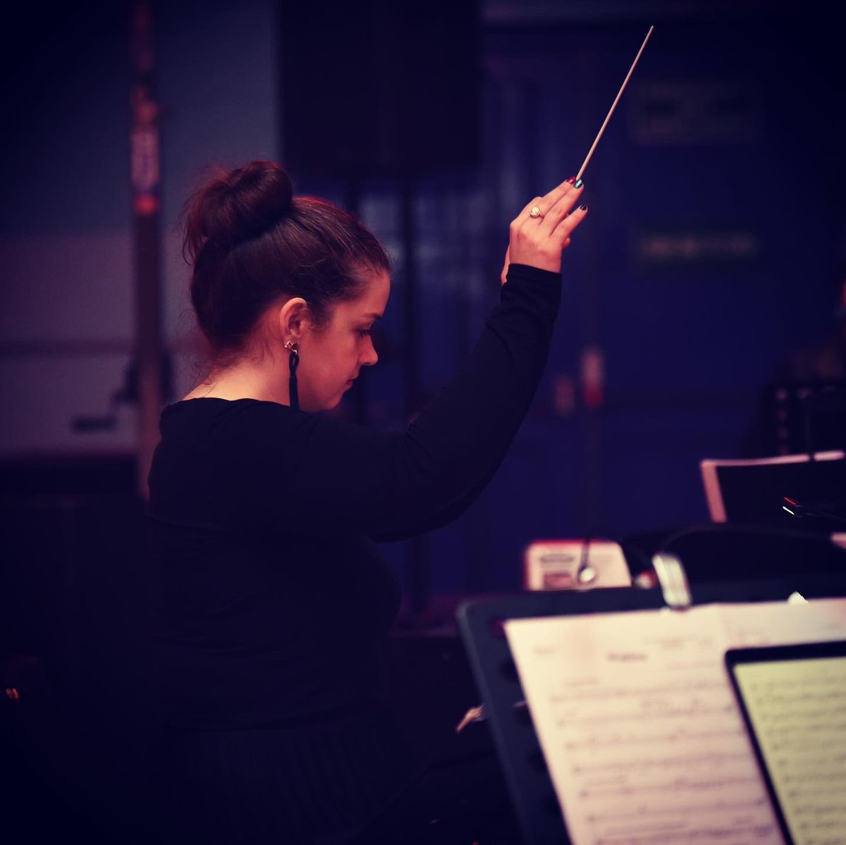 To all professionals in music, theatre, film, tv, media &amp; the arts world! Join the challenge to post a pic of you in your job.Just a pic. No description.The goal is to flood social media with our profession.Copy the text &amp; post a pic. #savethearts #musicaltheatre #conductor 🎶🎭