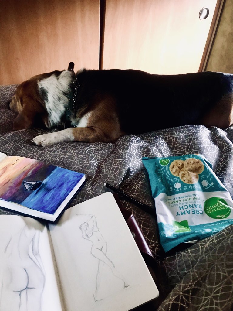 JaeRichDesigns's tweet photo. Sketchbooks, snacks, and my trusty beagle makes for a lovely rainy afternoon. #4thofJuly2020 #FourthofJuly #Sketching #beagle https://t.co/caEjTUzydg