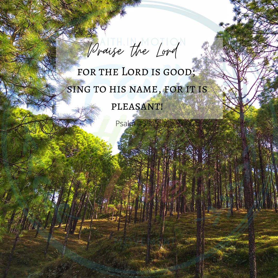 fhlmovementorg's tweet photo. Oh, it is good to praise the Lord! It is wonderful to sing praises to His name. He has done good things for us.
#faithhopelove #faithhopelovemovement #awesomegod #faithfulgod #promisekeepinggod #givethanks #almightygod #goodandgracious #providentfather #singpraise #holdon https://t.co/owc0wz215U