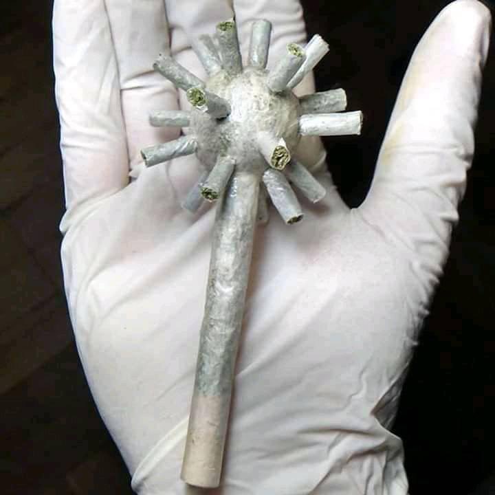 MaconheiroMemo's tweet photo. Coweed-19 https://t.co/OFGLZAZ6dd