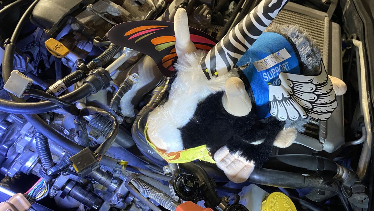 IMPossubull's tweet photo. Hey @GISH, is this how you camp?? I'd really rather an official #CampGISH Mascot take over in case it's not &amp; I inspire Gishers to take apart their cars… which I usually have more time for SINCE I'M SUPPOSED TO BE RETIRED. 😉 #WeWantOurNewMascot #GISH2020 #GISHcertifiedMechanic https://t.co/9cCiWU2oVM