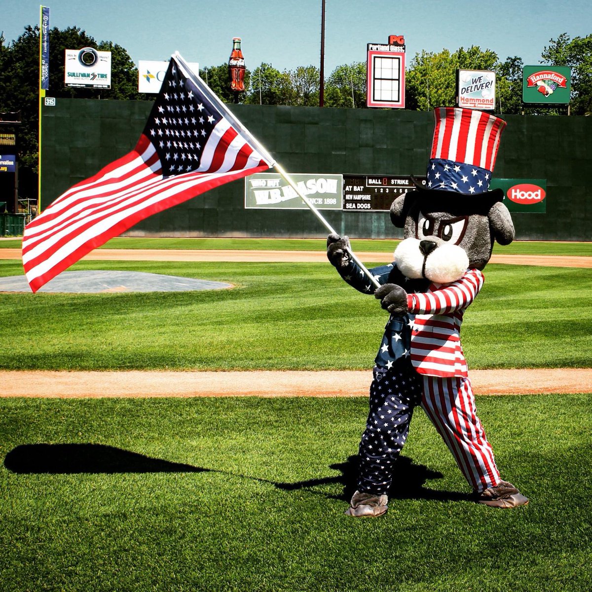 PortlandSeaDogs's tweet photo. Happy Birthday, America! 🇺🇸🎇
#MiLBFunOnThe4th https://t.co/0t7xNXnMSz