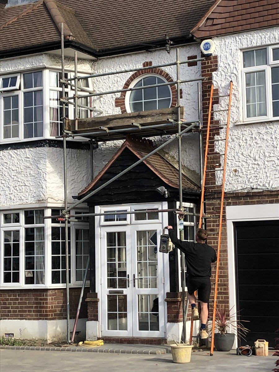 dual scaffoling limited tweet media