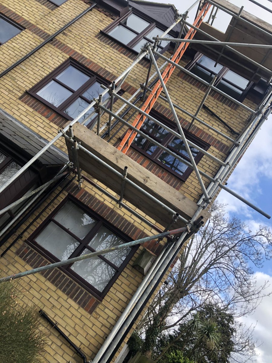 dual scaffoling limited tweet media
