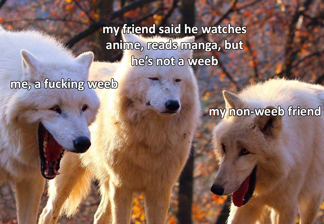 AnimeMemeDaily's tweet photo. https://t.co/EN8fLZb1bL