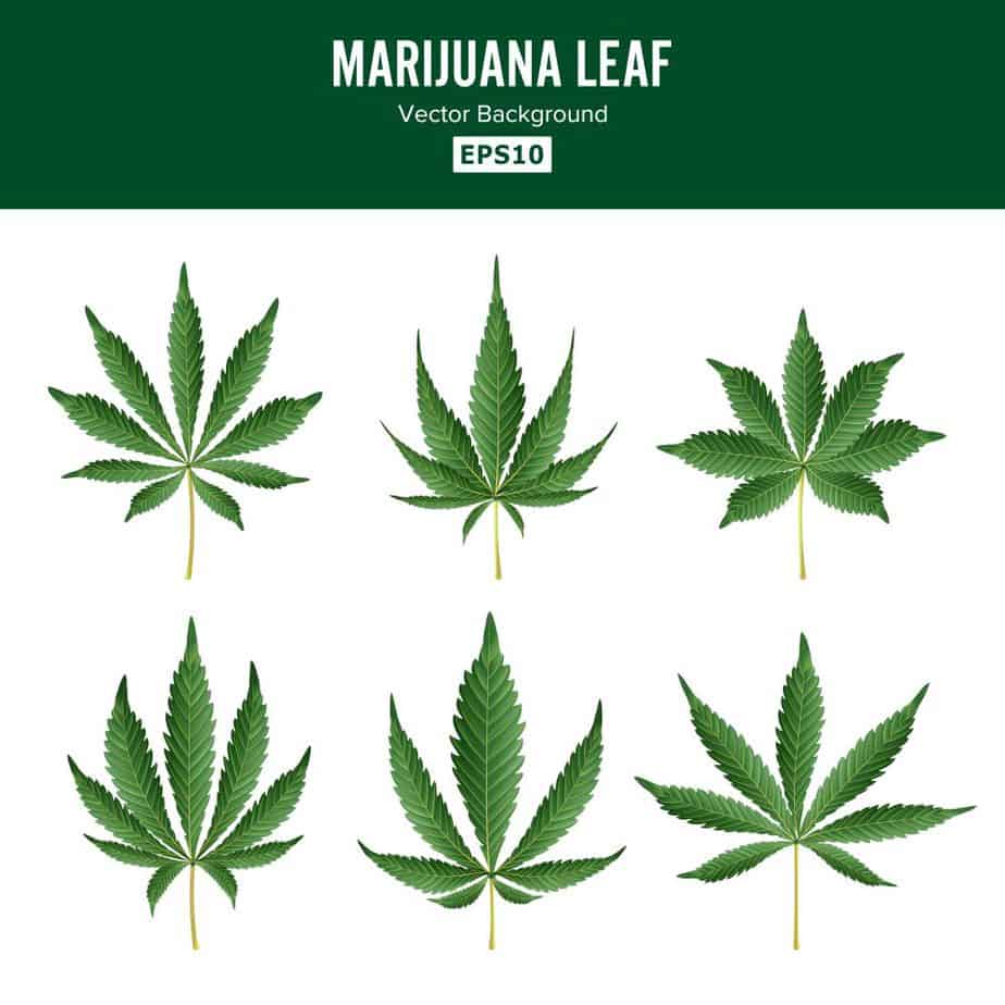 MMPconnection's tweet photo. #cannabis #weed #marijuana AUT University to offer country's first medicinal cannabis paper DOMINICO ZAPATA/STUFFA new paper, The Science of Medicinal Cannabis, will be offered to postgraduate students at Auckland University of https://t.co/zmASMcKYGD #cannabiscommunity https://t.co/aQmAtE0Wt5