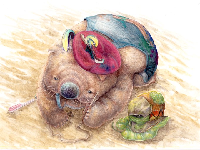 『見た事の無い島』

きょうは けんきゅうじょの ちかくの すなはまで おえかきを した
おもいうかんだ かたちを かいてみたけど、ぷぷ・かにくんは ぼくのえを ふしぎそうに みていた
そういえば かえってきたら ぼうしが きれいに なっていたような きがするけど、なんでかなあ

(ウォンバの日記) 