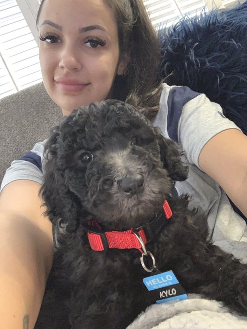 Meet Kylo my new poodle puppy! He&rsquo;s 2 months and so much fun! 😍 https://t.co/TVHOMXyAIk<a href="/tag/tbt"class="tags"><span>#tbt</span></a><a href="/tag/hotcoffee"class="tags"><span>#hotcoffee</span></a><a href="/tag/bikinibarista"class="tags"><span>#bikinibarista</span></a>