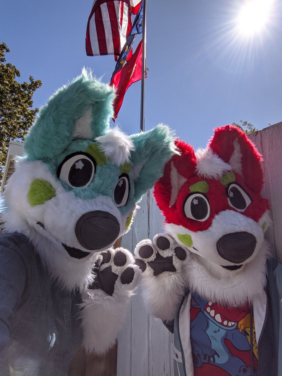 CreativeCriters's tweet photo. Happy 4th of July from the pups with red, white, blue (and a little green)! Stay save and have fun!
#furry #furries #fursuit #furryfandom https://t.co/rYl1UIH7Hv