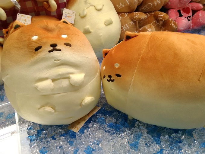 ラウンドワン池袋店 景品情報さん がハッシュタグ いーすとけん をつけたツイート一覧 1 Whotwi グラフィカルtwitter分析