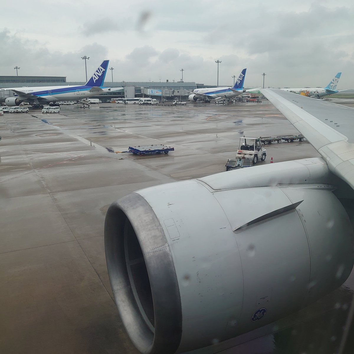sibsib8's tweet photo. 本日の2フライト目

NH475でHND→OKA

13Kはエンジンより前の席♬

離着陸時のエンジン音を楽しみつつ、那覇に戻ります♪

#SFC修行
#hnd
#oka
#reg11
#nh475 https://t.co/oeTz7nzqHn