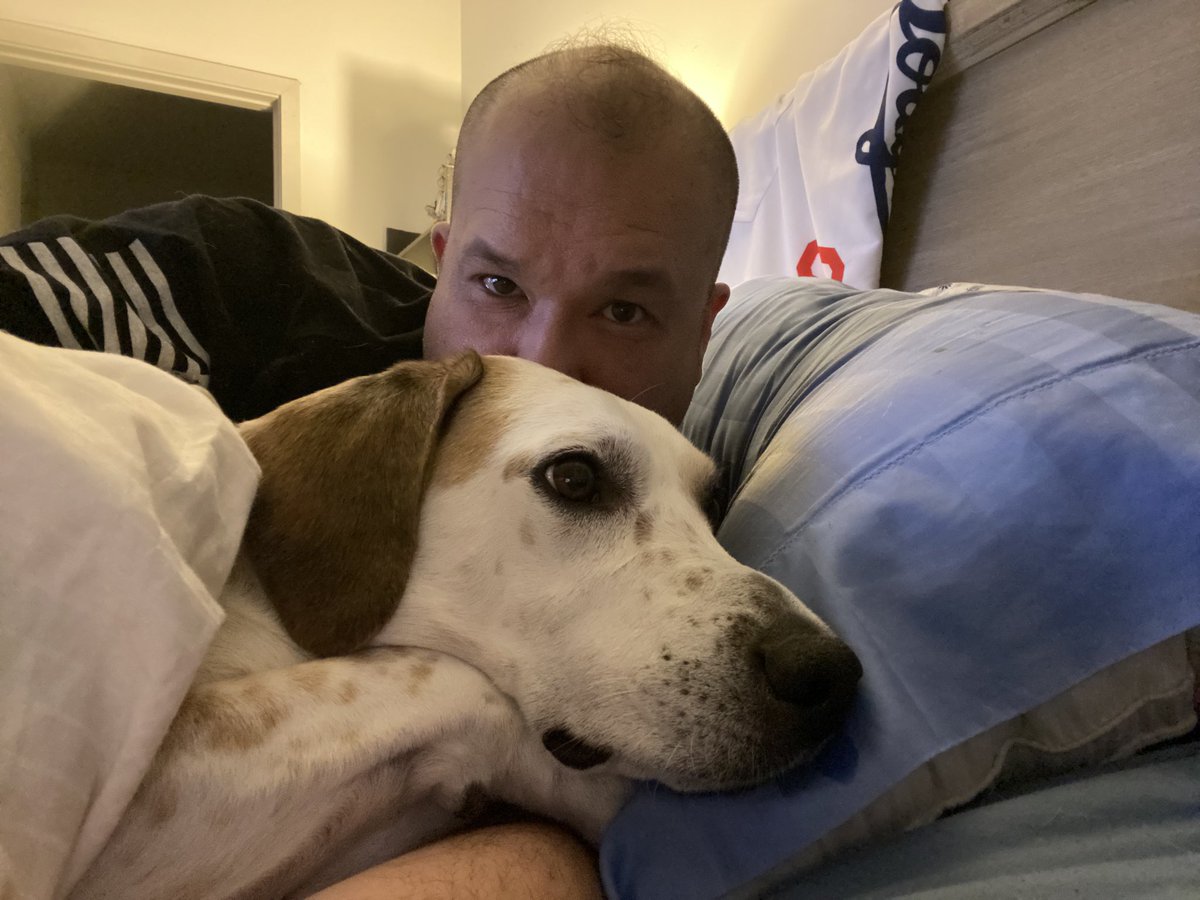 ziegler_md's tweet photo. Yoshi isn’t doing so well with the fireworks this year.
Even a 4 year old Doge needs to be held sometimes...
(Also, the flag isn’t backwards, it’s #assaultingforward)
#July4th2020 #IndependenceDay https://t.co/9S36G3Vf8E