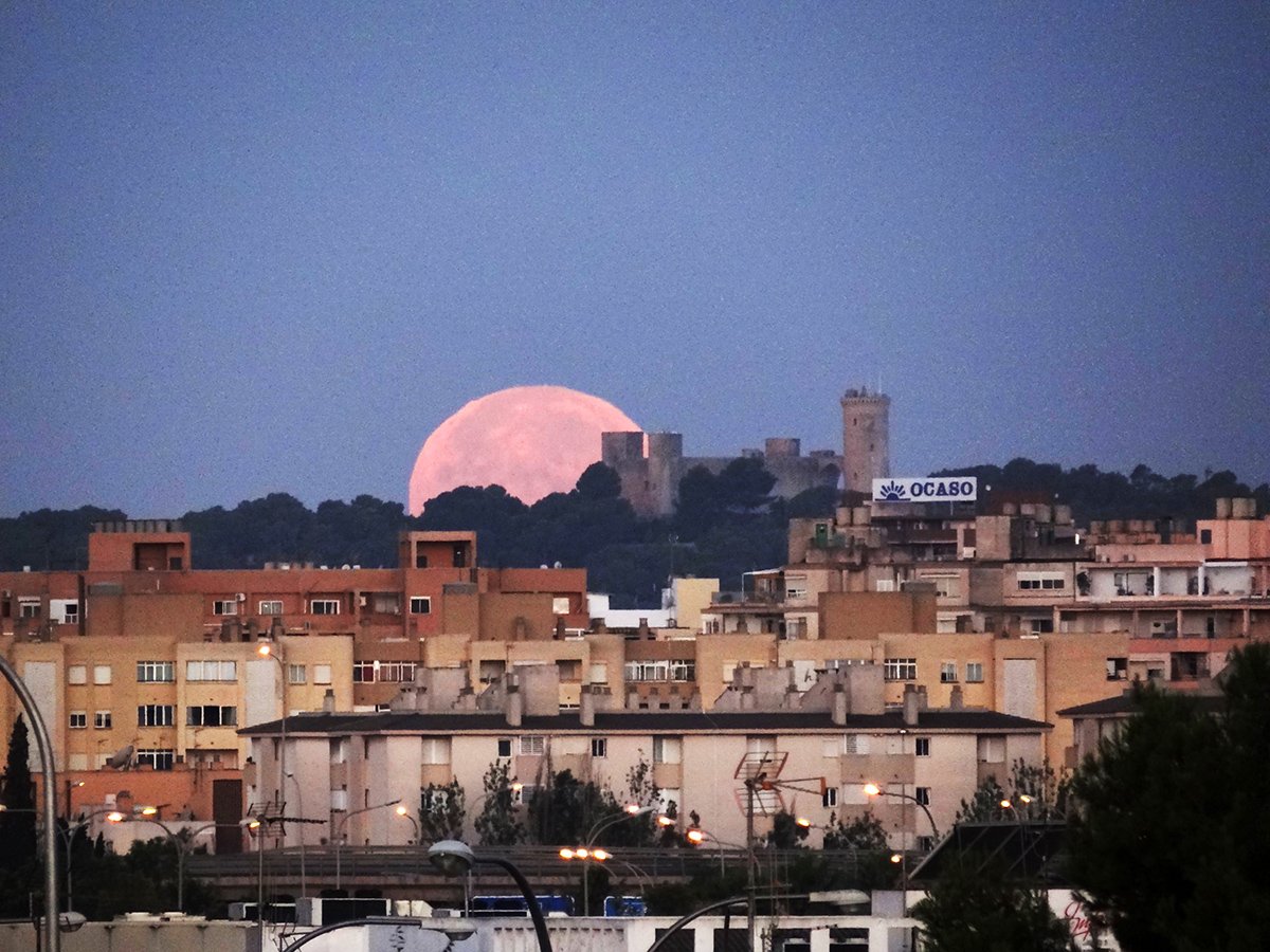 Empezamos el primer domingo de #julio con este #EclipsePenumbral de la #LunadelCiervo, durante su #Ocaso en el #CastelldeBellver 🌄🏰