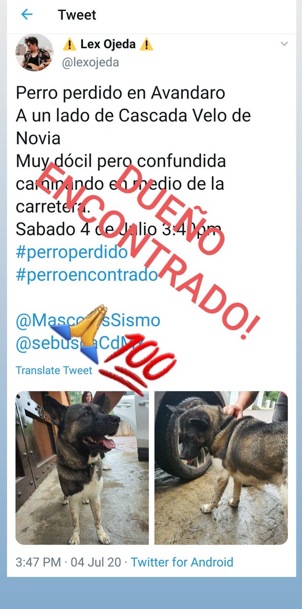 Dueño encontrado!
Recuerden ponerles Placas con Contacto a sus mascotas!
Donen a albergues caninos 🙏
<a href="/MascotasSismo/">Mascotas Sismo</a> <a href="/sebuscaCdMx/">Busca a tu mascota</a>