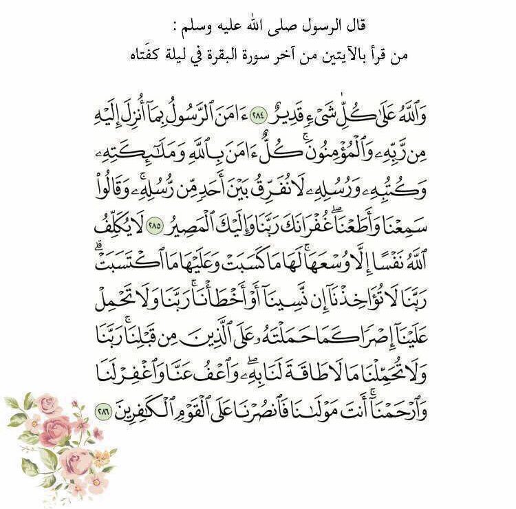 __l0ly's tweet photo. تًذْكيَِر✨🕊♥️ https://t.co/P76q80j0Im