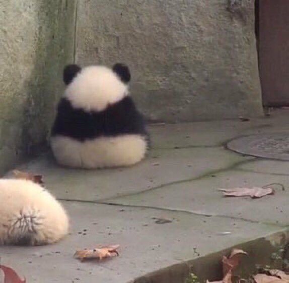 𝒃𝒆𝒂𝒕𝒓𝒊𝒄𝒆. (@leavemencw) on Twitter photo 