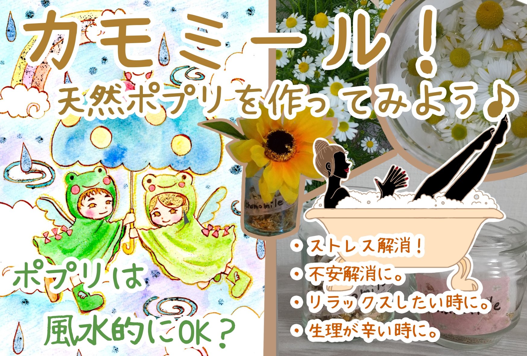 心菜ッツ Ptero4hexbxmv0b Twitter
