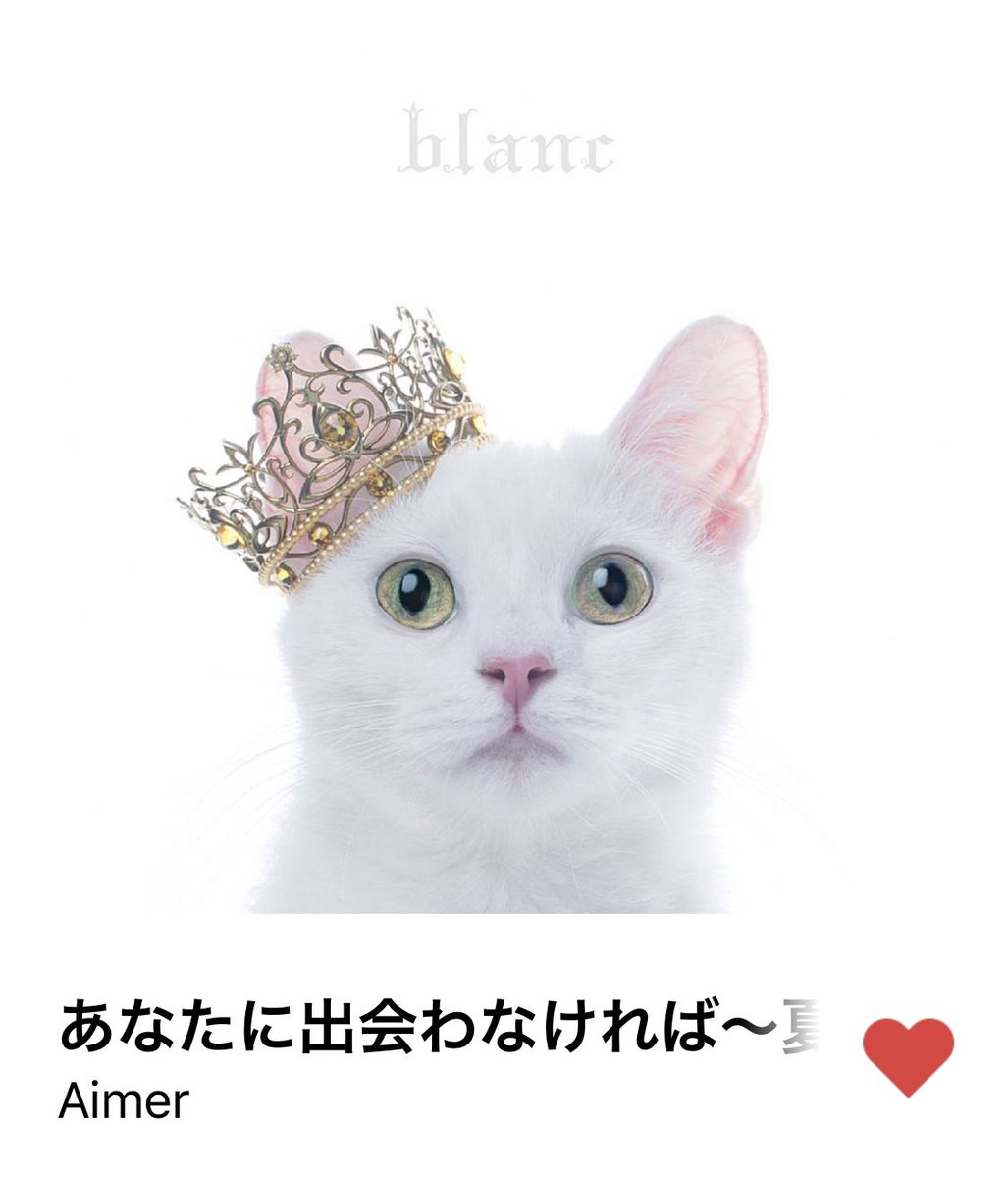あなたに出会わなければ あなたに出会わなければ