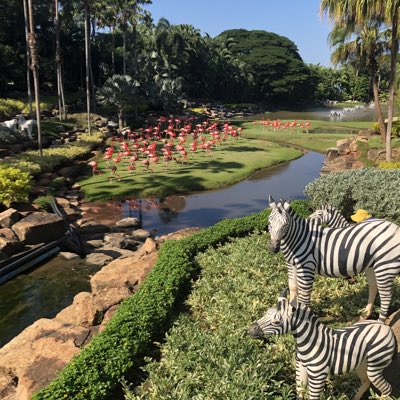 Bon007_su's tweet photo. #NewProfilePic https://t.co/p6JcJHcrxV