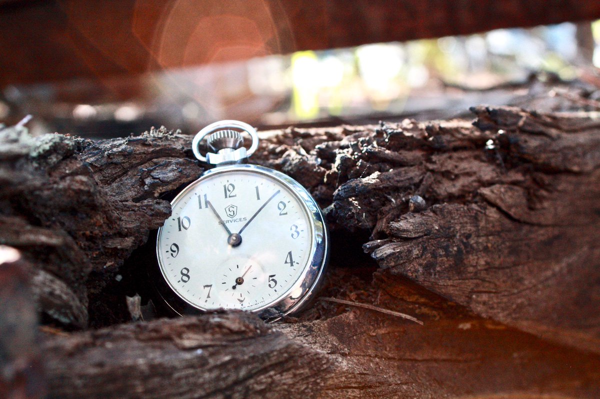 EdcOutdoors's tweet photo. Just a nice photo of my old pocket watch. 
If you want more of other old stuff, leave a comment below!
#pocketwatch #PhotoOfTheDay #Australia #edc #photography #photographer #photo https://t.co/m95nDtONfs