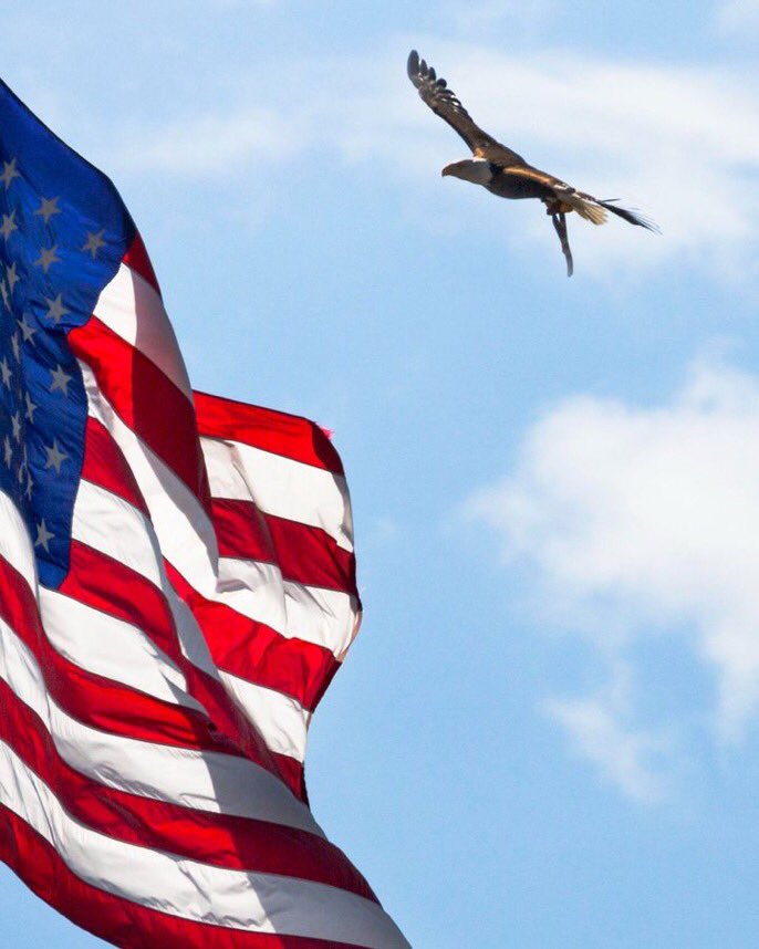 Happy 4th of July!! 🇺🇸 🦅