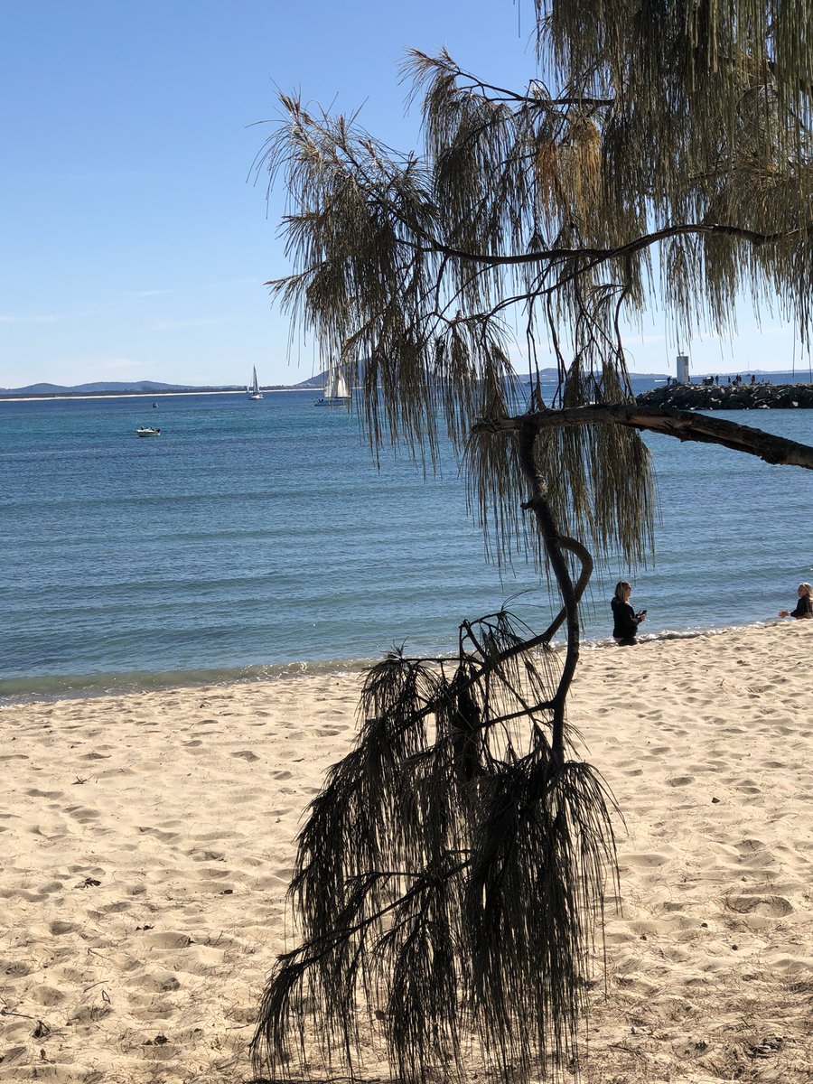 snailsinbottles's tweet photo. A few days off after a frantic trimester and before the new one begins #QLDWinter https://t.co/TnMPgZTkHq