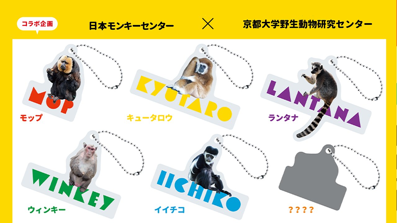 京都大学野生動物研究センター Twitter Search Twitter
