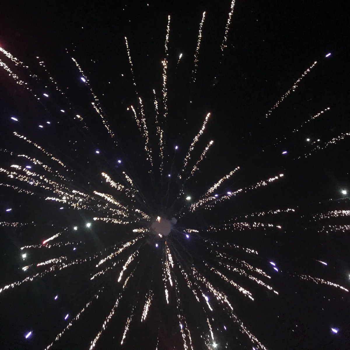 jselss's tweet photo. America! Happy 4th! 🇺🇸 🗽 #Fireworks overhead. 🎆🎇 https://t.co/oVnXzEGx98
