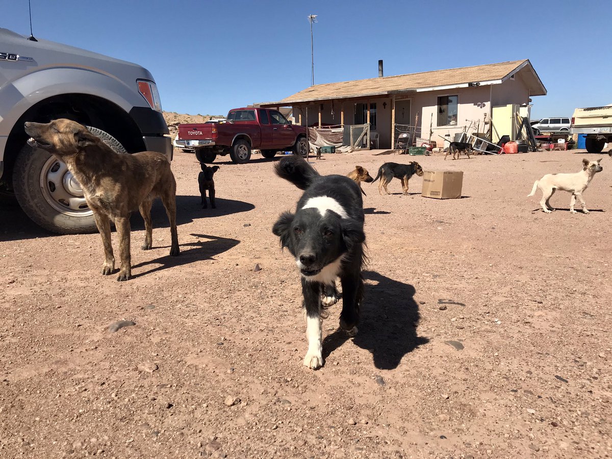 I didn’t know that 10% of Navajos still don’t have electricity. There are initiatives underway to install solar panels and provide LED lighting, but there is a long way to go until everyone has power. 6/