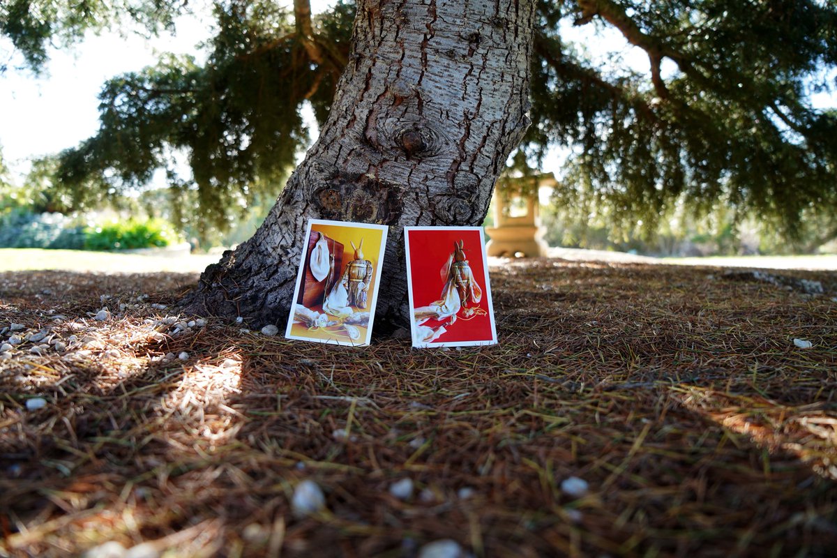 New context-as healing, interventions in garden with #creativeoccupation postcards from #covid19 series. (postcards: by me, Michael Morgan, Matthew Howard, Laine Hogarty)