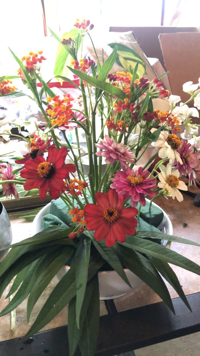 PosingPosies's tweet photo. Happy 4th of July!!! Was happy to get In the garden today and get some cuttings - nothing more relaxing than playing with your homegrown cut flowers! 🌸🌸🌸

#cutflowers #garden #flowerarrangements #flowerarrangement #cutflowergarden #freshflowers #cuttings #cutflowerchat https://t.co/uTlGMRu0dK