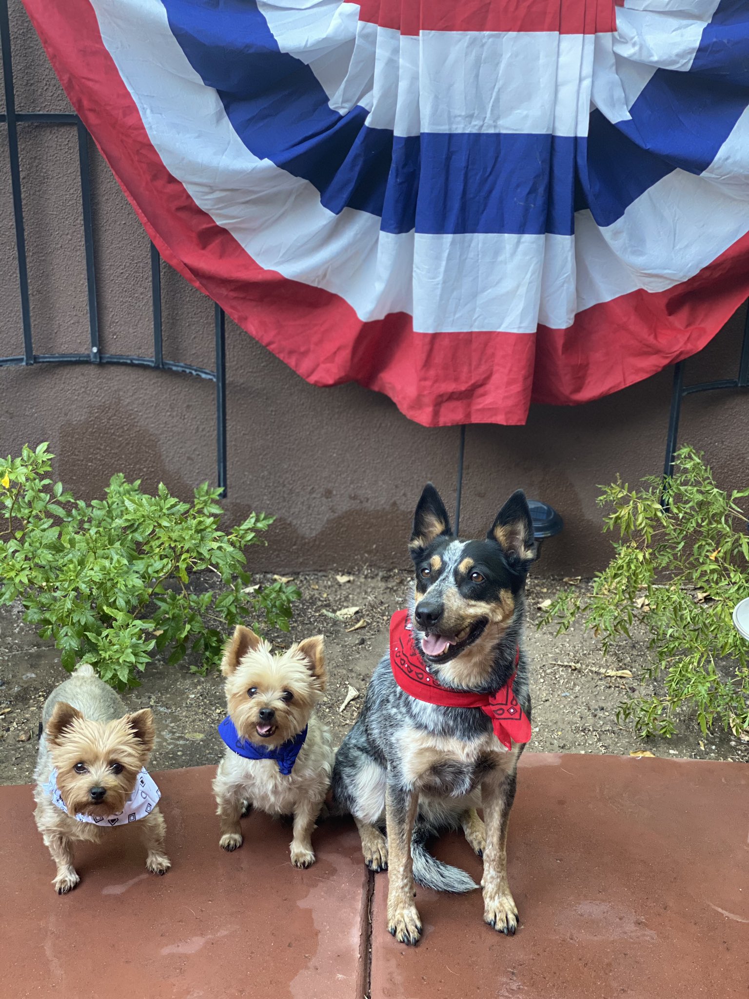 Happy 4th of July!!! https://t.co/qoL8B43K5A
