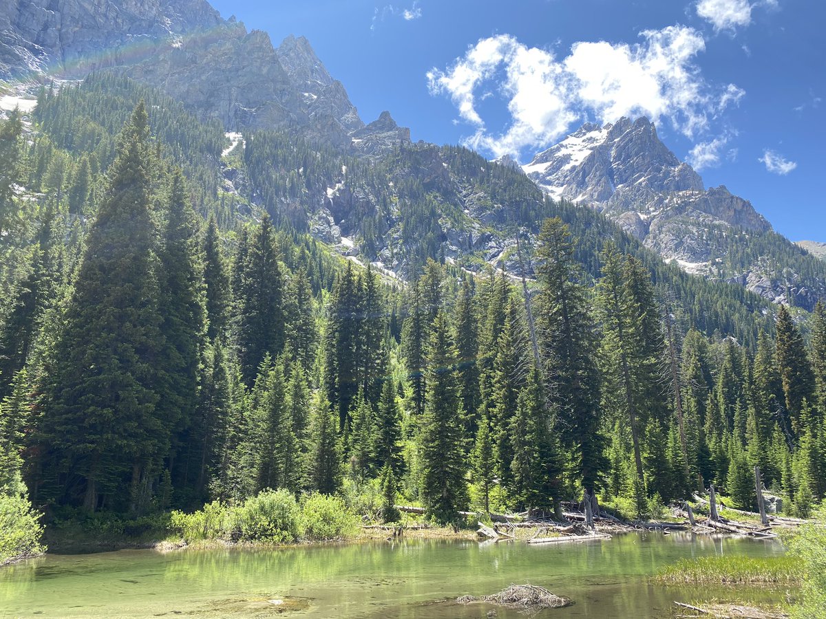 BaischChris's tweet photo. Happy Fourth of July everyone, be safe!
Spent the day hiking the Grand Tetons with the family #stunning https://t.co/r7Yp4Bffzs