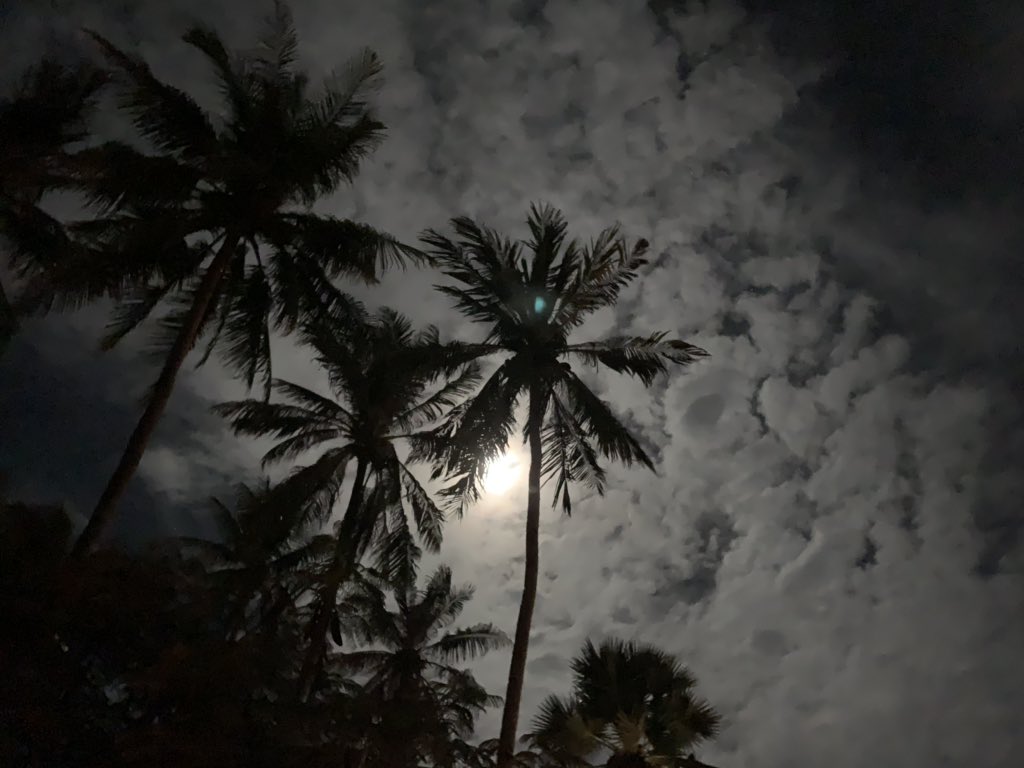 Romchaleeja's tweet photo. Beautiful evening at Lauhata Beach Resort #timortourism #TimorLeste https://t.co/IQEuWmhZzD