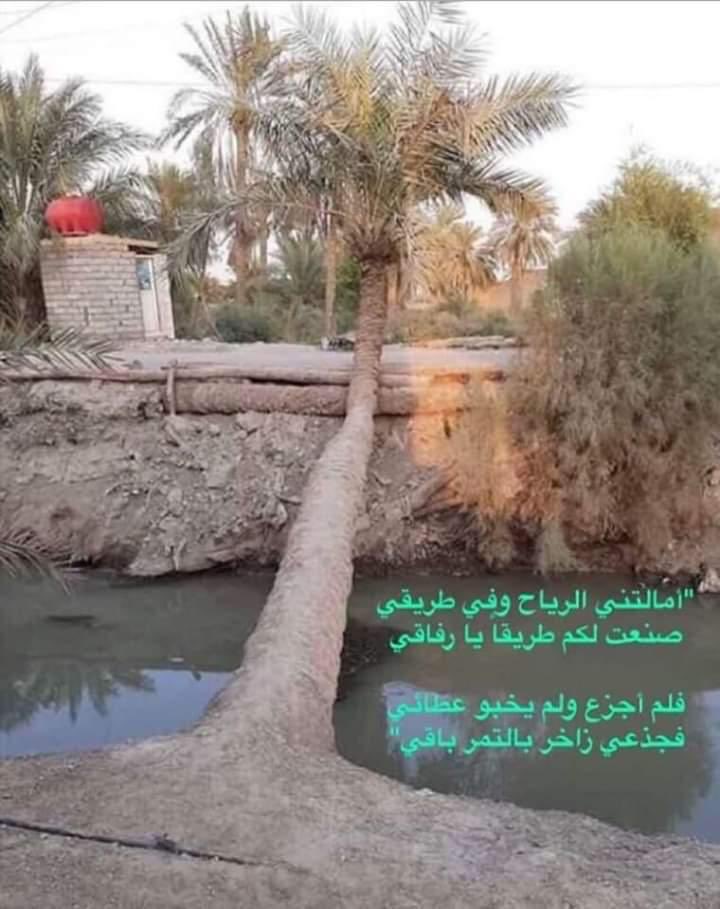 abin_zaid_'s tweet photo. من تعوّد العطاء لا يهنأه التوقف عنه وإن وقع ، وإن مات يستمر ينفع بما تركه من أثر  #ابن_زيد ✍️ https://t.co/vb3Z5u3e9A