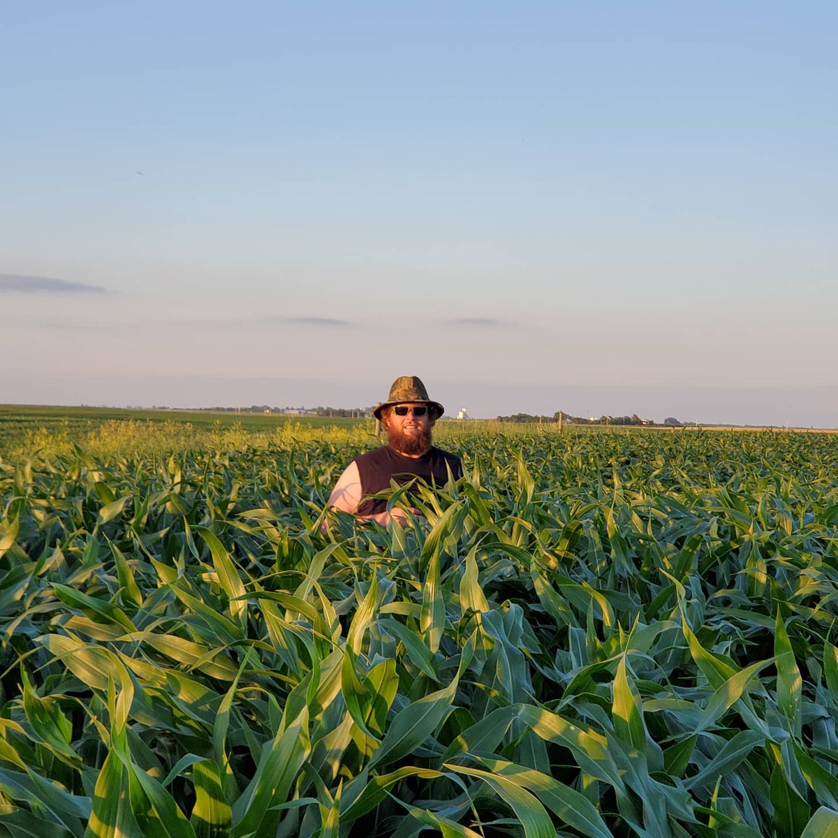 zippybond's tweet photo. Out checking some crops this evening!! Corn is looking great so far @southern_seed0 @scott_perkin https://t.co/TwAi2eYrSN