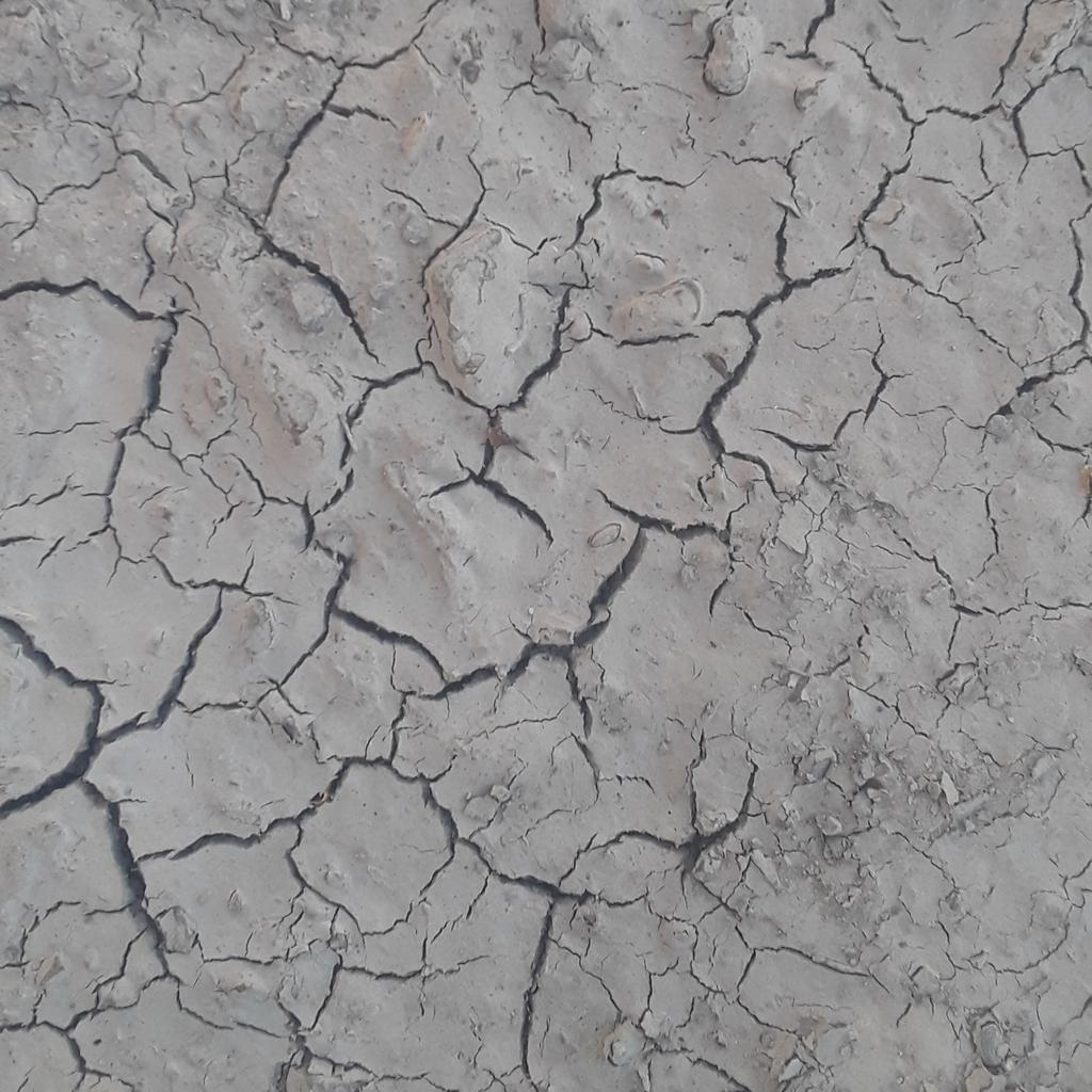 GarfIts's tweet image. Live look at my MF lips