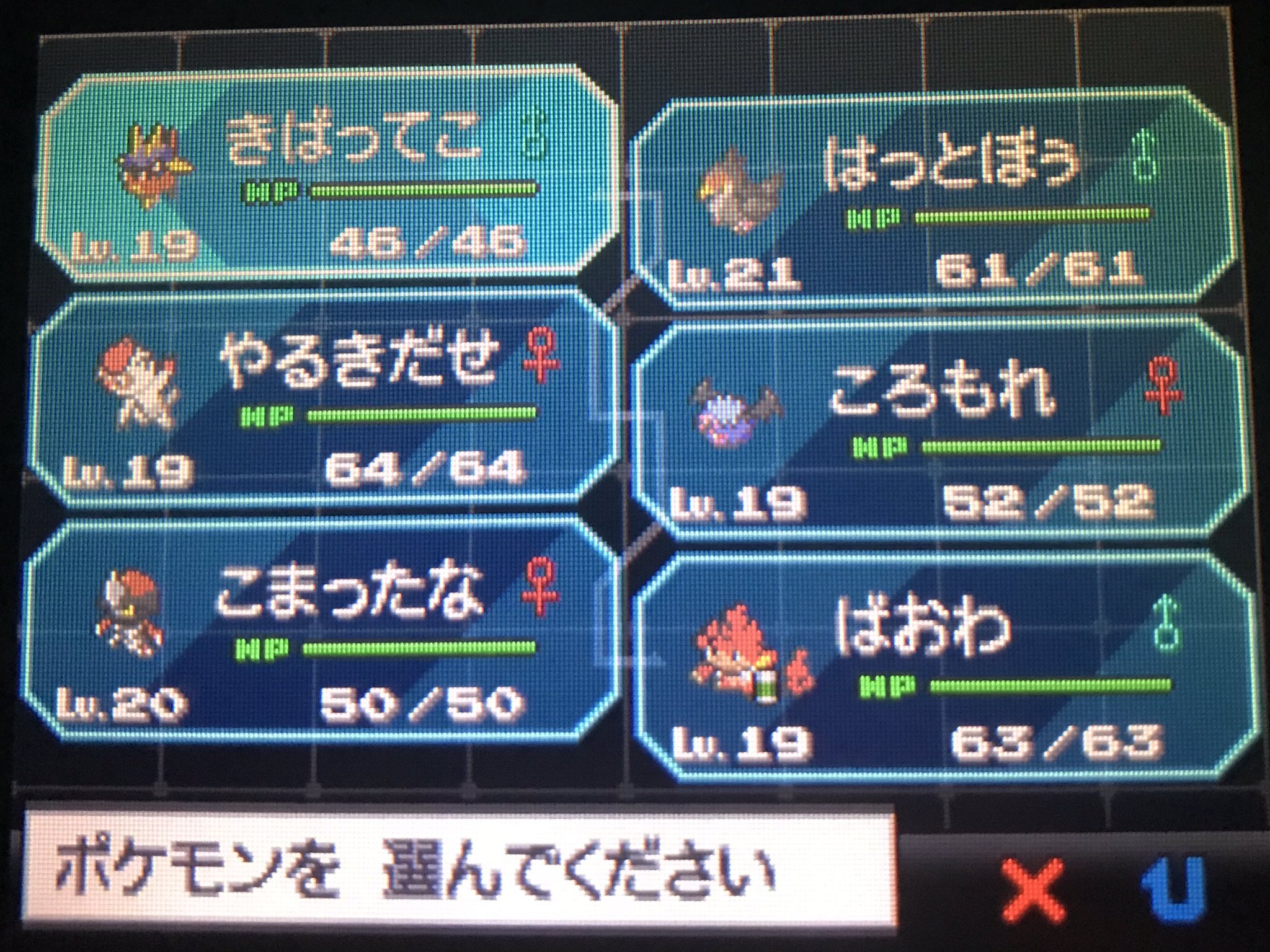 ごん 獅子犬 16年に実施されたポケモン総選挙7にて ワースト6となってしまったポケモン たちでパーティを組んで 殿堂入りを目指してみようと思う ソフトはポケモンホワイト 715位 キバニア 716位 ハトーボー 717位 ヤルキモノ 717位 コロモリ 717位