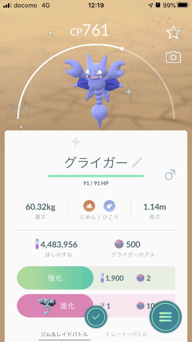 グライガー色違い Twitter Search Twitter