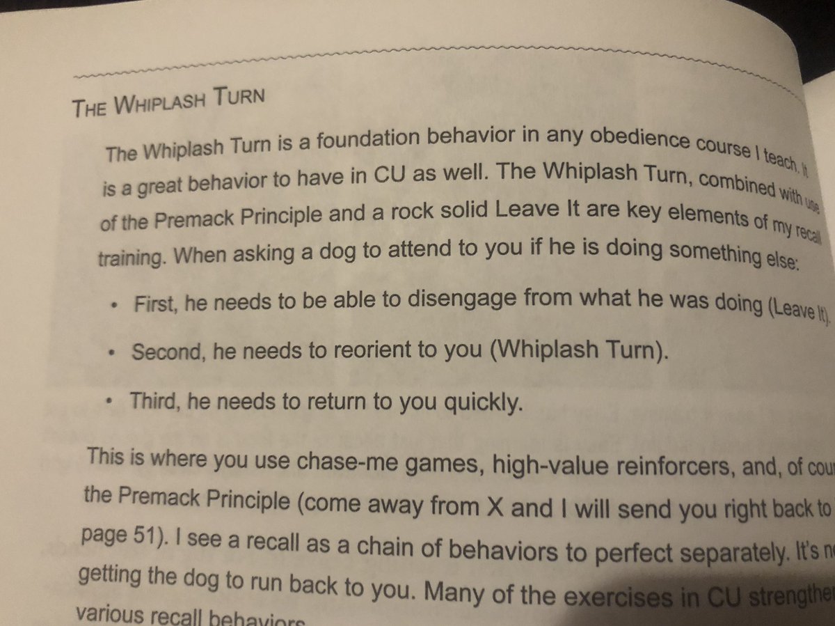 I partly Iike the story above, bc I think intermediate states deserve more attention than they usually get when debugging behavior.She also points out then when you call a dog to you, it’s helpful to think of that as three behavior chunks.