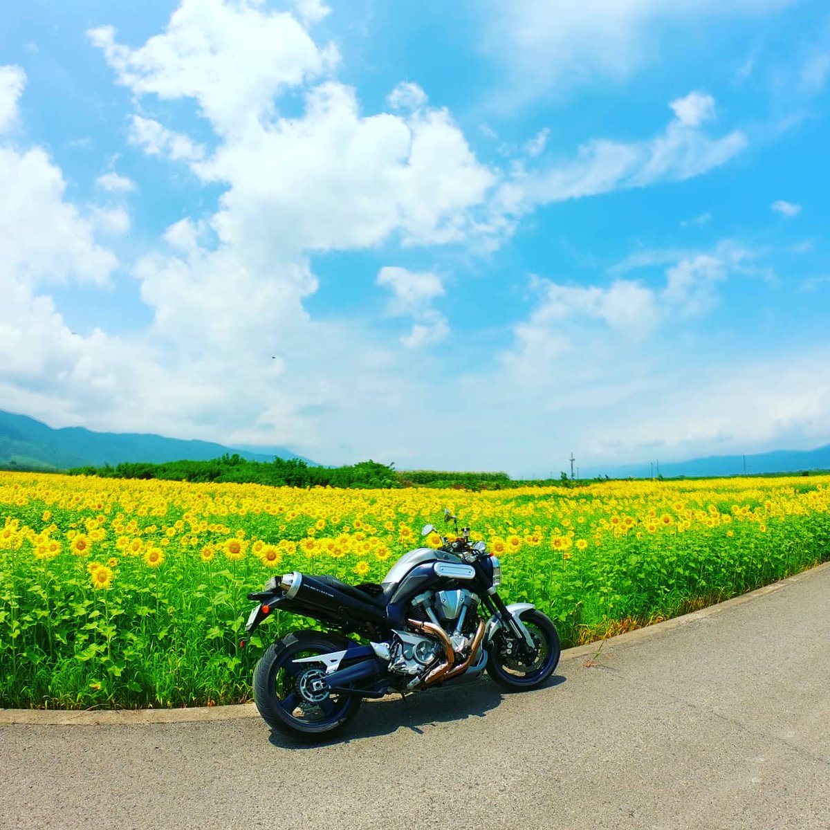 keisixnine's tweet photo. 梅雨の晴れ間に近所をお散歩🐾
日本最大の川中島の善入寺島のひまわり畑🌻
まだつぼみも多かったんでしばらく楽しめそう✨

#梅雨の晴れ間 #お散歩ツーリング #ひまわり #向日葵 #ひまわり畑 #善入寺島 #善入寺島のひまわり #mt01 #yamaha #バイクが好きだ #バイクのある風景 #バイク写真部 https://t.co/b5u9tzj6a0