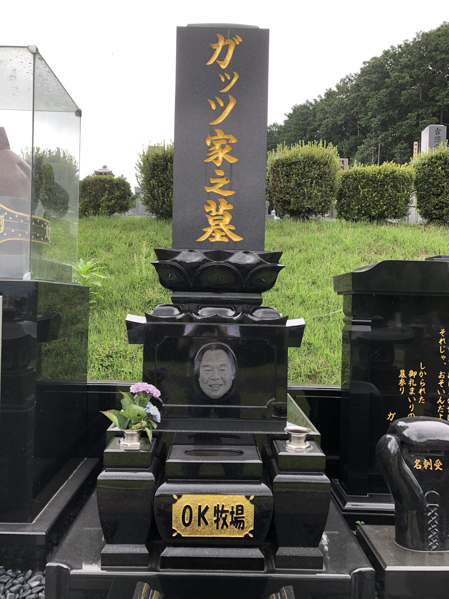 【中古】 人生はＯＫ牧場！/幻冬舎/ガッツ石松 人生はOK牧場！』ガッツ石松 | 幻冬舎
