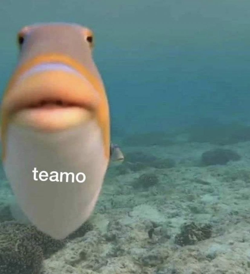 renspamsu's tweet photo. Yo después de ignorar los mensajes de mis amigos por un mes https://t.co/meTg1spJvM