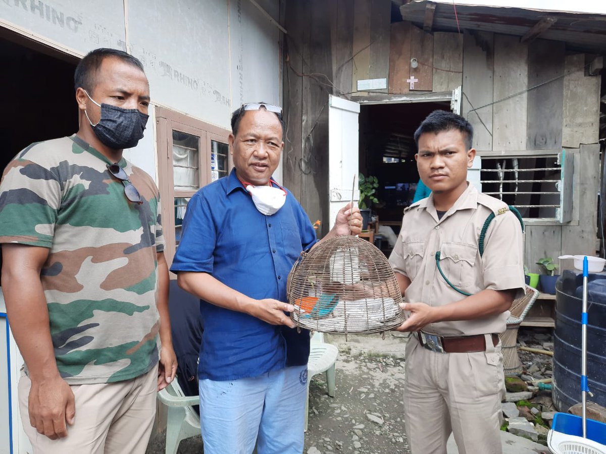 Churachandpur Forest tweet media