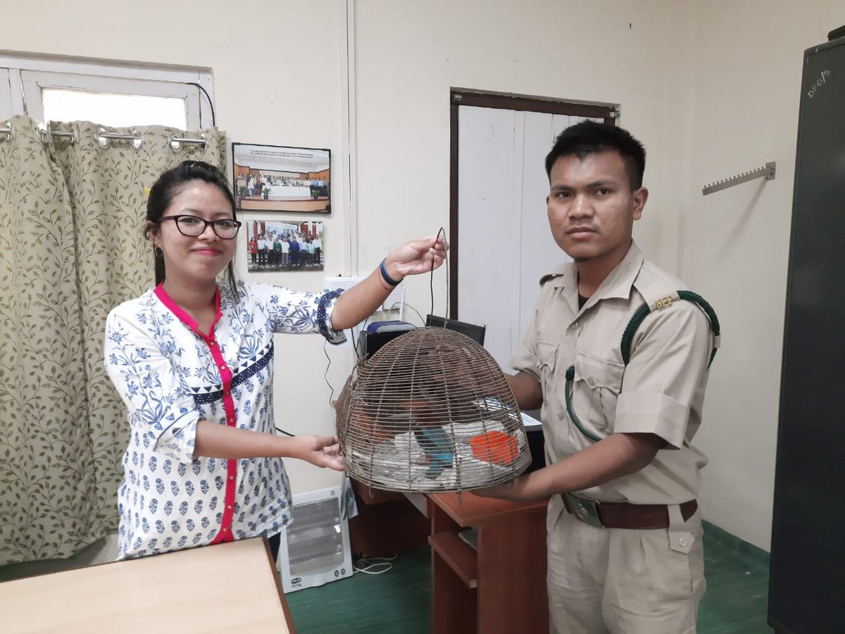Churachandpur Forest tweet media